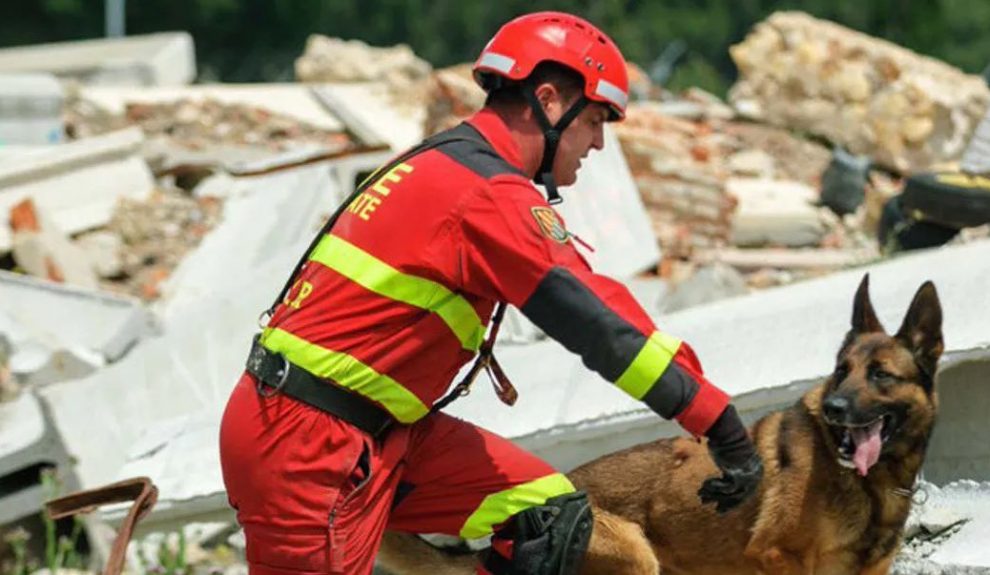 Unidad Canina de la UME | Foto: Ministerio de Defensa