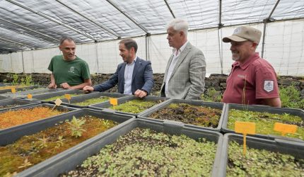 Transición impulsa un Banco de Semillas para preservar la biodiversidad y el patrimonio agrícola de El Hierro | Foto: Gobierno de Canarias