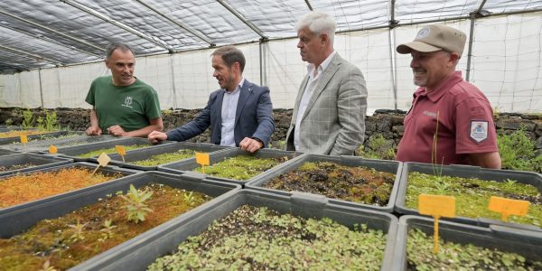 Transición impulsa un Banco de Semillas para preservar la biodiversidad y el patrimonio agrícola de El Hierro | Foto: Gobierno de Canarias