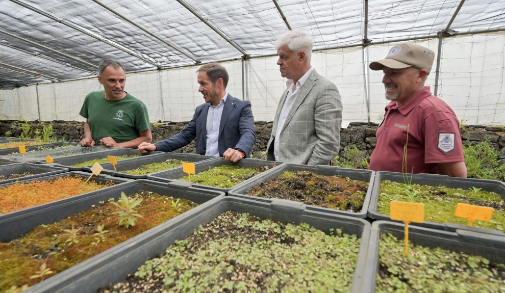 Transición impulsa un Banco de Semillas para preservar la biodiversidad y el patrimonio agrícola de El Hierro | Foto: Gobierno de Canarias