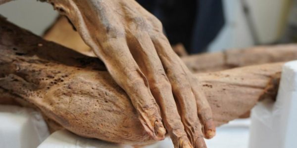 Momia guanche | Foto: Gobierno de Canarias