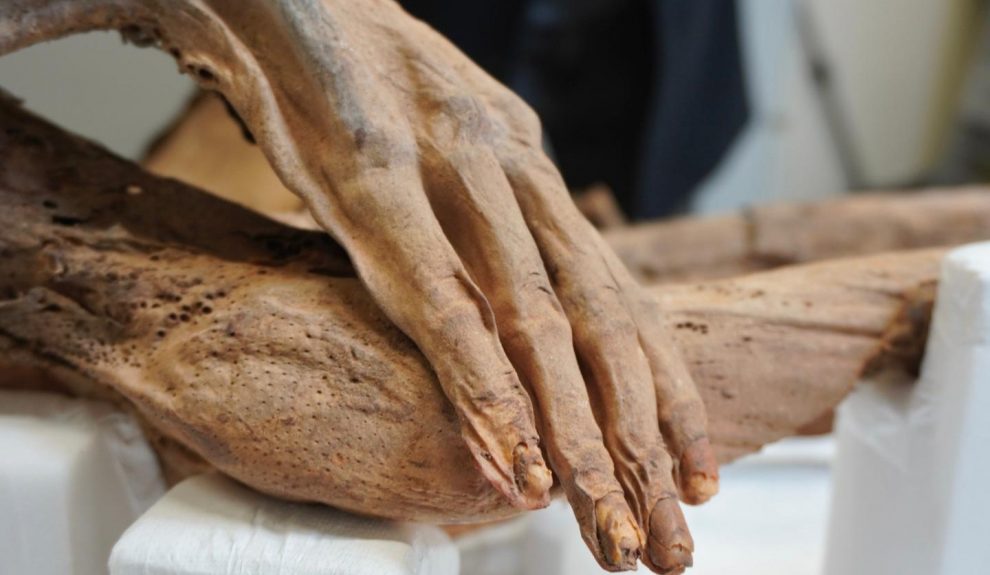 Momia guanche | Foto: Gobierno de Canarias