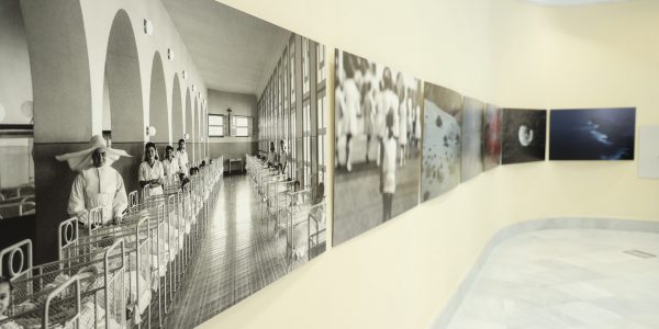 Exposición 'Cosmos' en el Parlamento de Canarias | Foto: Parcan