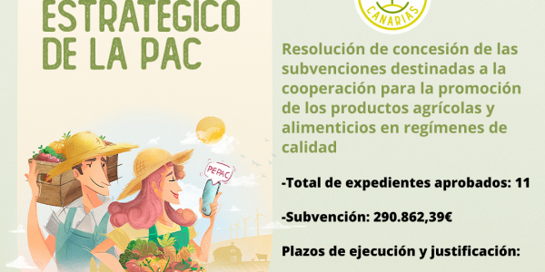Plan Estratégico de la PEPAC