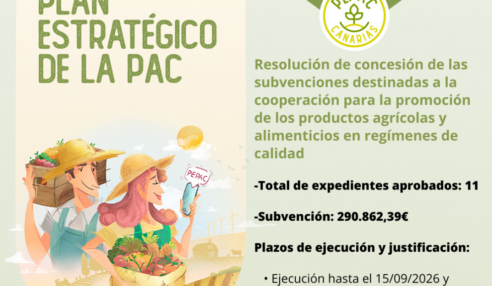 Plan Estratégico de la PEPAC