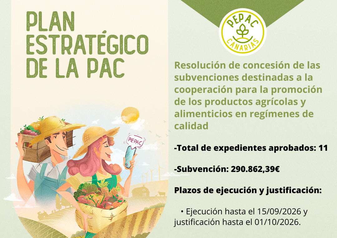 Plan Estratégico de la PEPAC