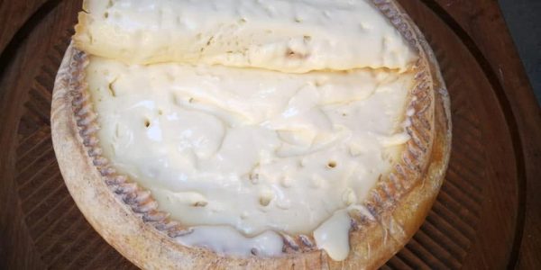 Queso Flor de Guía | Foto: Quesería Cortijo de Caideros