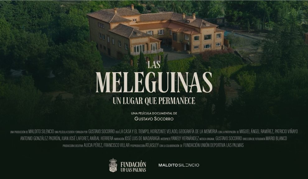 Cartel de 'Las Meleguinas'