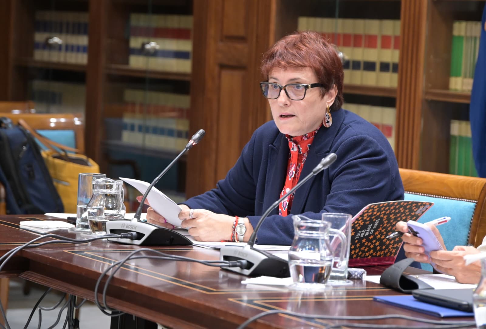 Candelaria Delgado | Foto: Gobierno de Canarias